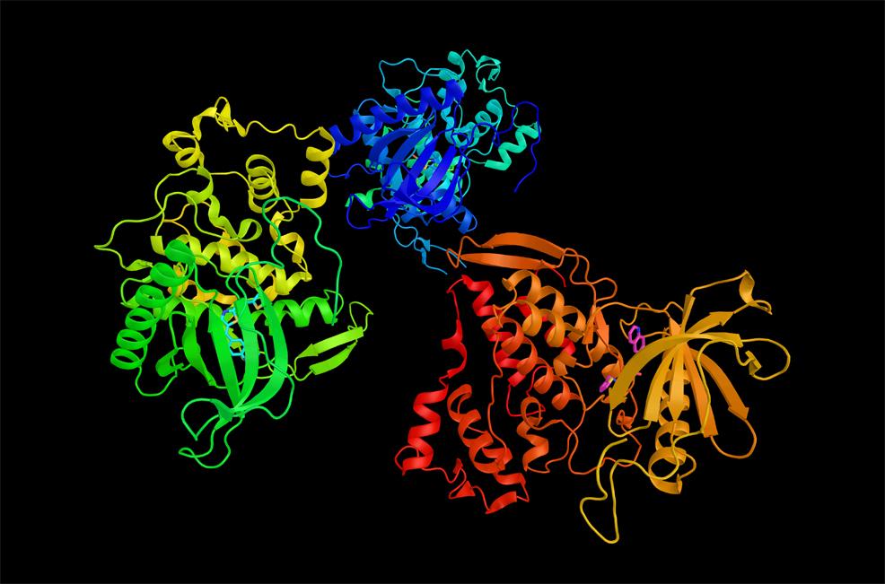 Protein Folding AI