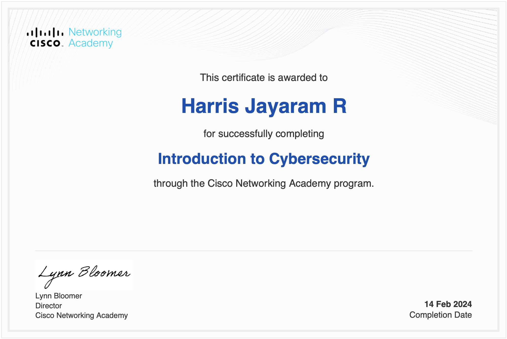 Introduction to Cybersecurity certificate